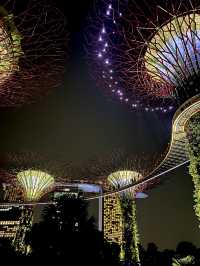 ชมโชว์ไฟสุดอลังการที่ Garden by the Bay ✨