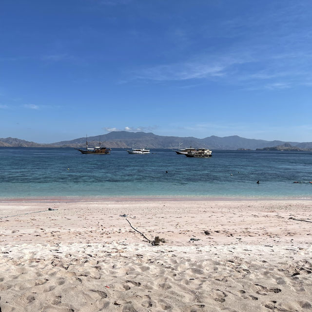 Pink Beach Komodo