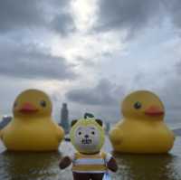 四遇鴨鴨Rubber Duck🤣
