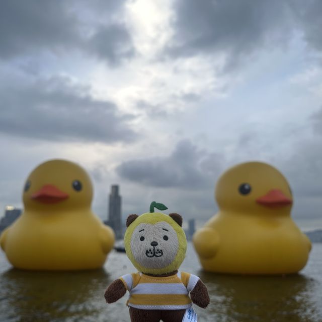 四遇鴨鴨Rubber Duck🤣