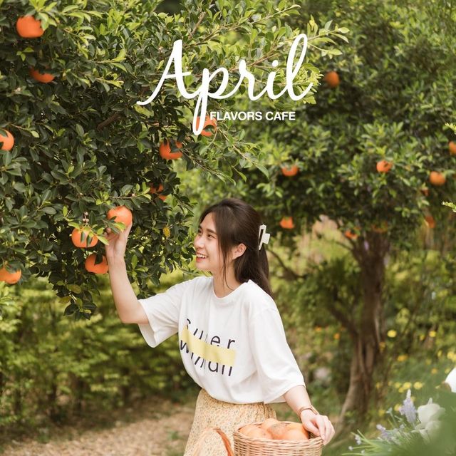 April Flavors cafe  คาเฟ่สไตล์เกาหลี🇰🇷 มินิมอล