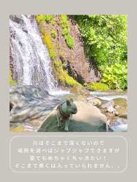 【山梨】マイナスイオンたっぷり🥹🫧