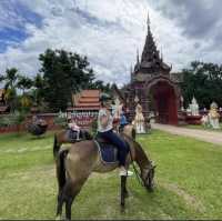 กิจกรรมขี้ม้าสำหรับเด็กๆและผู้ปกครอง@ปงยั้งม้า