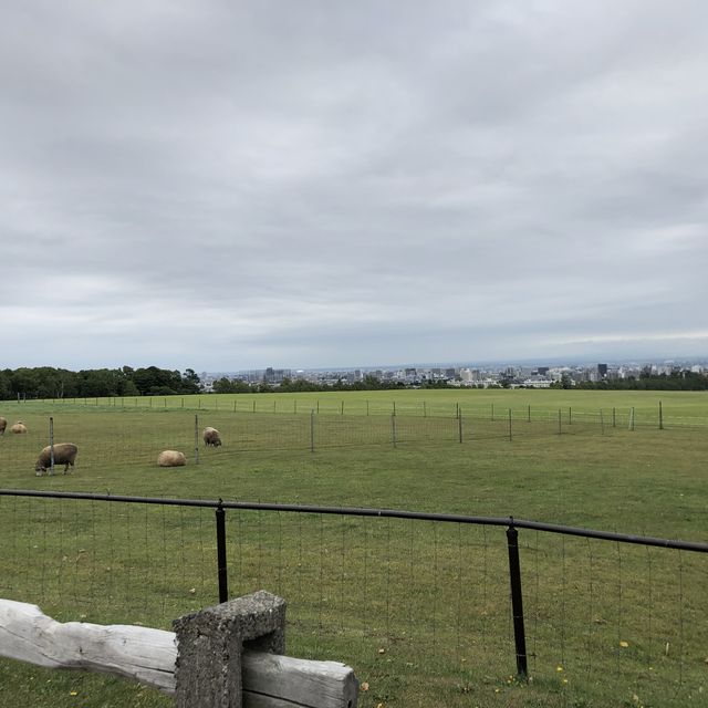 【クラーク像‼️】
