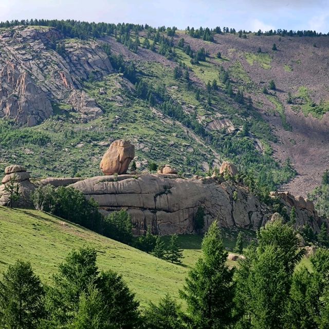 Majestic sentinel of Mongolian landscape! 😍