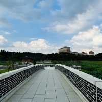 韓国全州にある蓮池が有名な“徳津公園”。