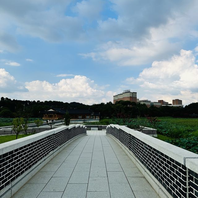 韓国全州にある蓮池が有名な“徳津公園”。 韓国全州にある蓮池が有名な“徳津公園”。