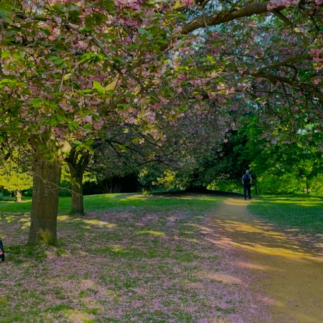 HYDE PARK - OASIS IN THE MIDDLE OF LONDON!
