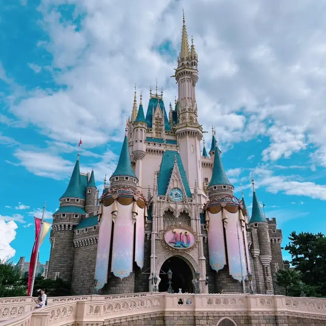 東京ディズニーランド　TDR