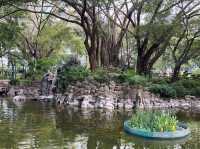 原來荃灣有個咁靚咁似香港嘅公園 🤩