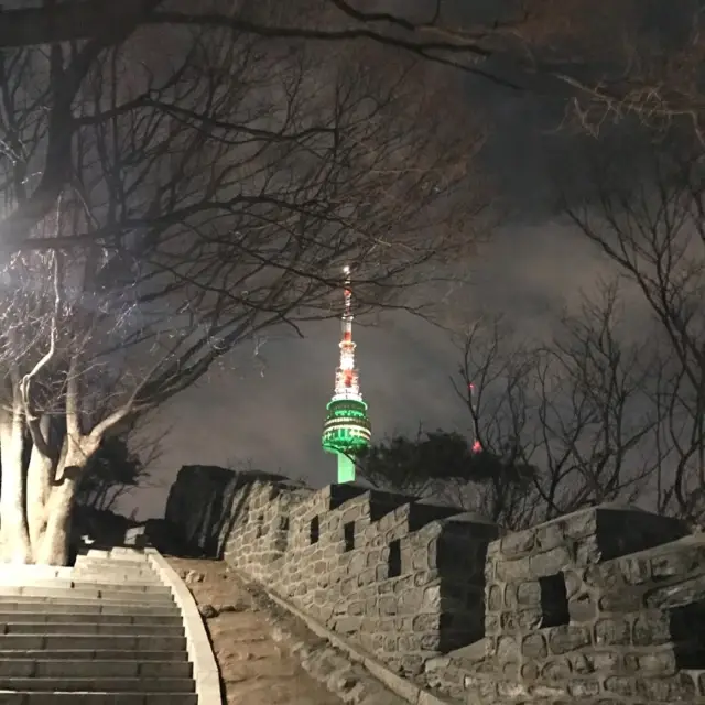 首爾塔看夜景🌠南山公園