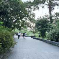 迷失在綠意中🌿🌺 台北植物園