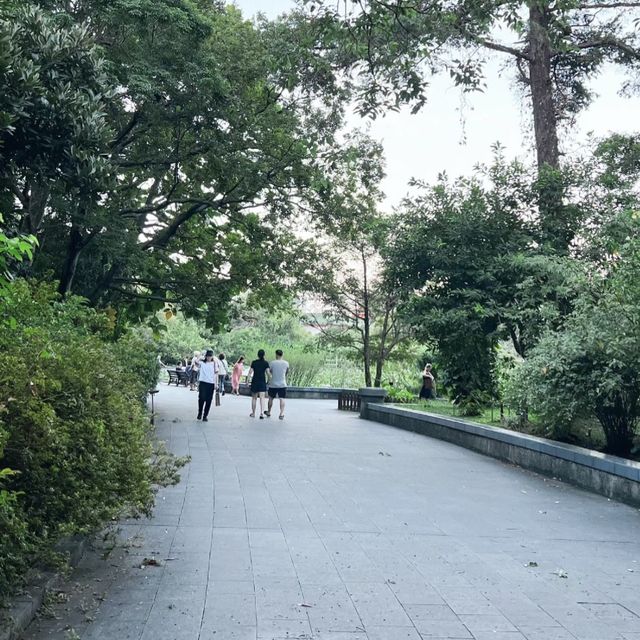 迷失在綠意中🌿🌺 台北植物園