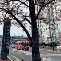 🌙如果可以試下夜遊十里竹林就好喇🎋