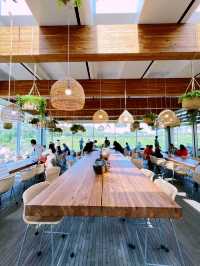 🇰🇷 Jeju House Cafe