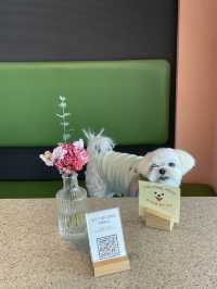 강아지와 함께 오션뷰를 보며 커피를 즐길 수 있는 곳🐶🌊☕️