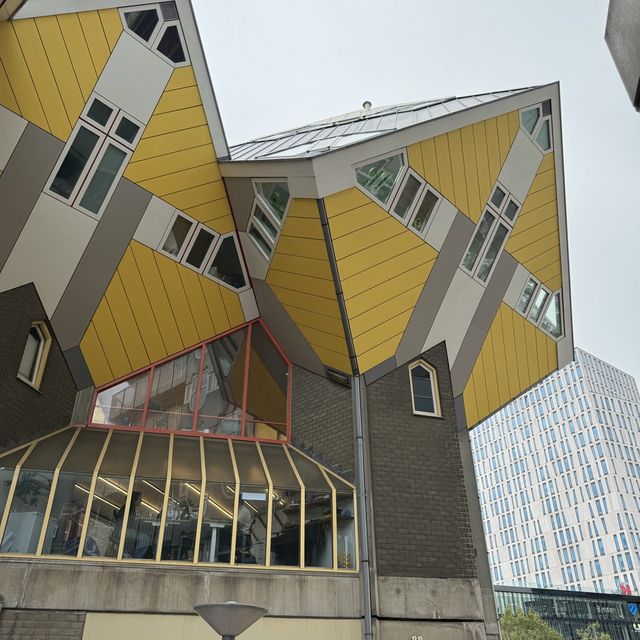 Undisputed Architectural Icon of Rotterdam! 
