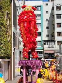 新年必備的精彩醒獅表演