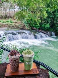 Warista cafe and garden 🥤🌳