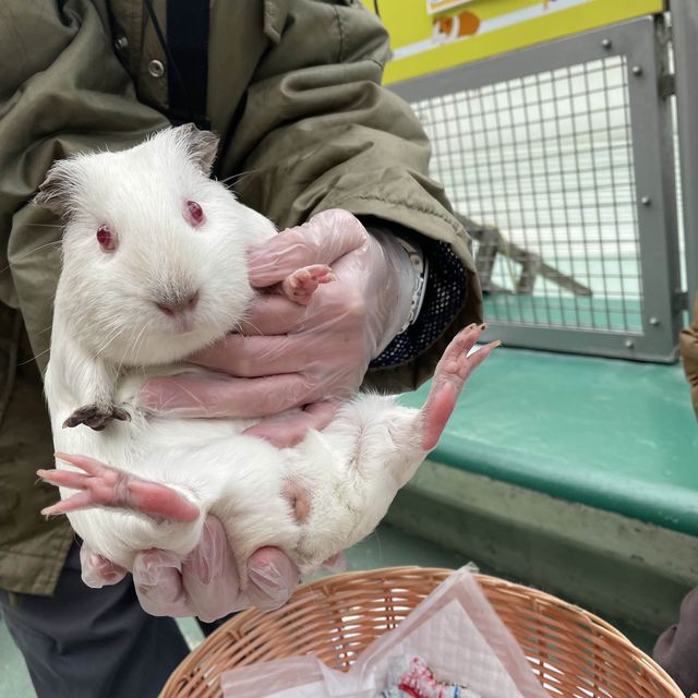 ふれあい広場〜野毛山動物園〜