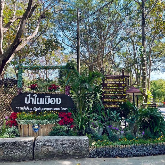 สวนรุกขชาติมวกเหล็ก Muak Lek Arboretum 