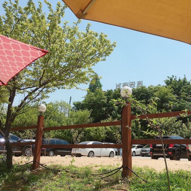 주말 나들이 겸 산책하고 커피까지 완벽코스 복사꽃피는집🌺