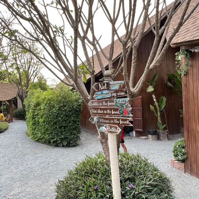 🌹Bubble In The Forest🌹🏡🌴🌳🏝️🍹🥥🪷🌻🌼🌸🌺
