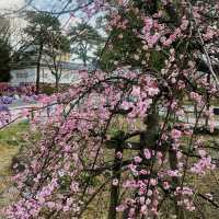 Kokura Castle in North Kyushu