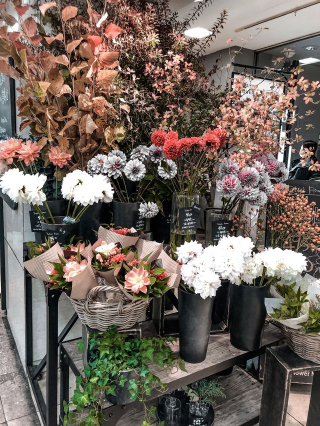 東京女生不願離開的花海🌸