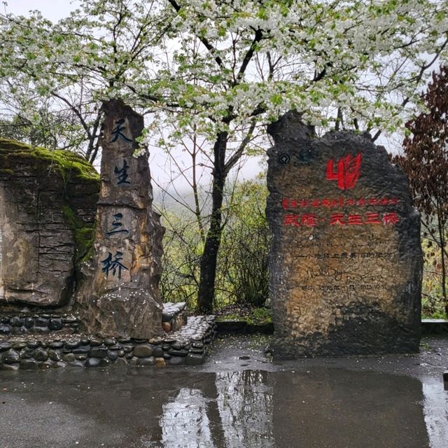 Hea遊重慶 驚喜100分