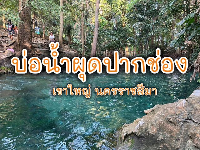 บ่อน้ำผุดปากช่อง เขาใหญ่