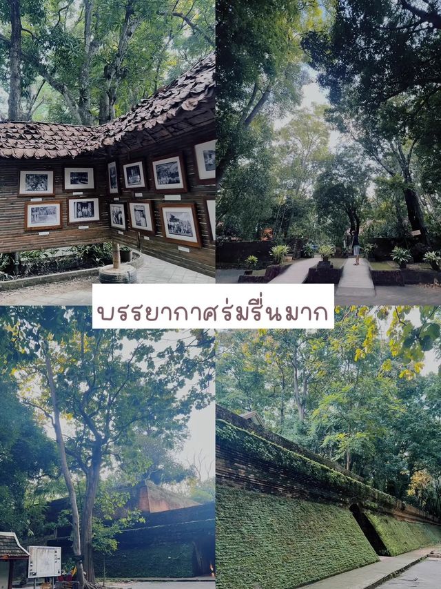 พามาวัดสวย ให้อาหารปลา ไหว้พระ 🙏