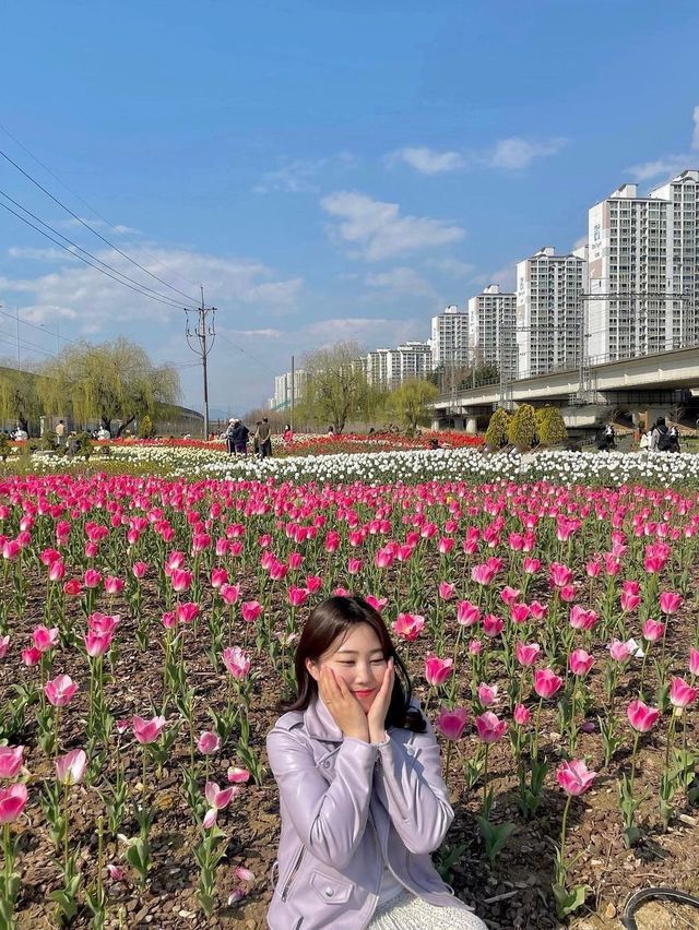 3,4월 부산& 근교 봄꽃 모음zip 🌸🌷🌼