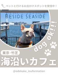 【東京･竹芝】海沿いのおしゃれカフェ🕊️