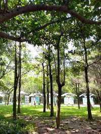 深圳蓮花山公園