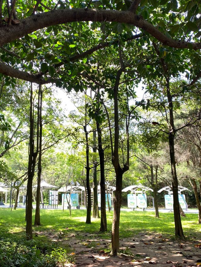 深圳蓮花山公園