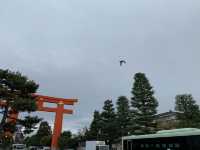 京都　京都観光　2023年平安神宮の桜！