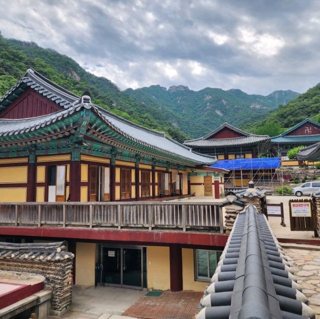 신록에계절 계룡산 동학사에 포행이다.