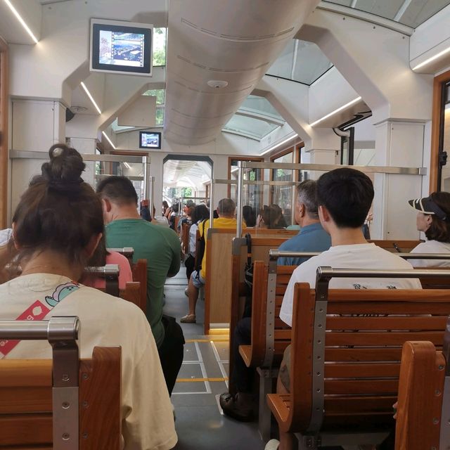 私人行程訂製 合肥到香港三天兩晚