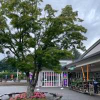 【ペットとお出かけ】道の駅富士吉田は食事もドッグランも楽しめる！