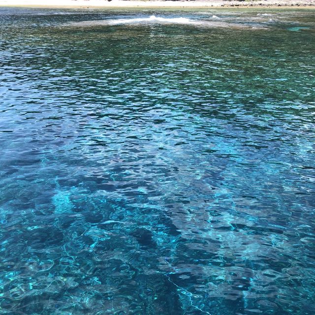 沖縄旅行　慶良間諸島ダイビング
