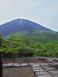 【山梨】富士スバルラインの奥庭を散策