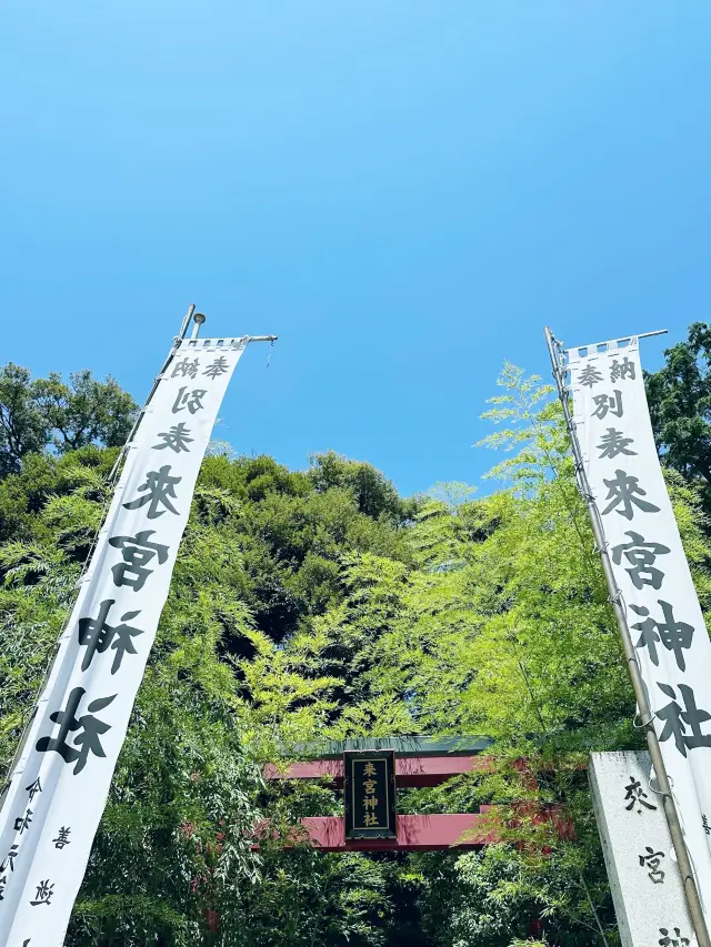 静岡観光＊来宮神社