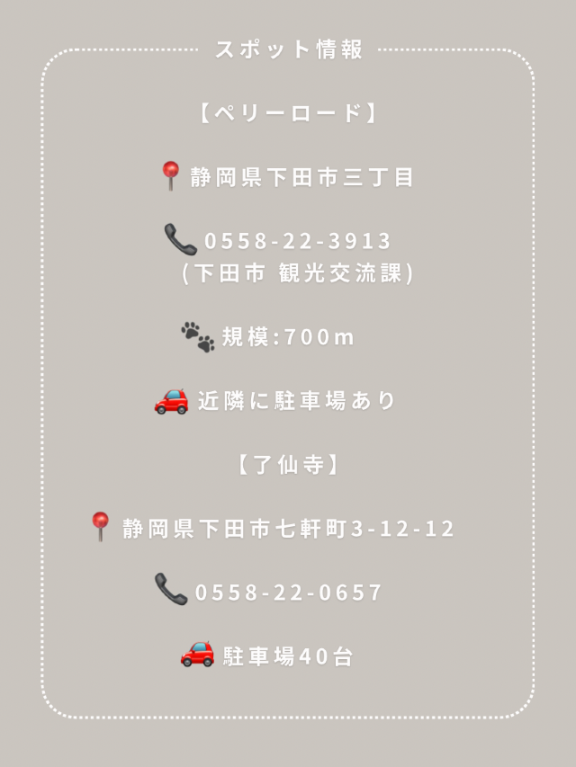 【下田】わんこと行けるインスタ映えスポット🫧