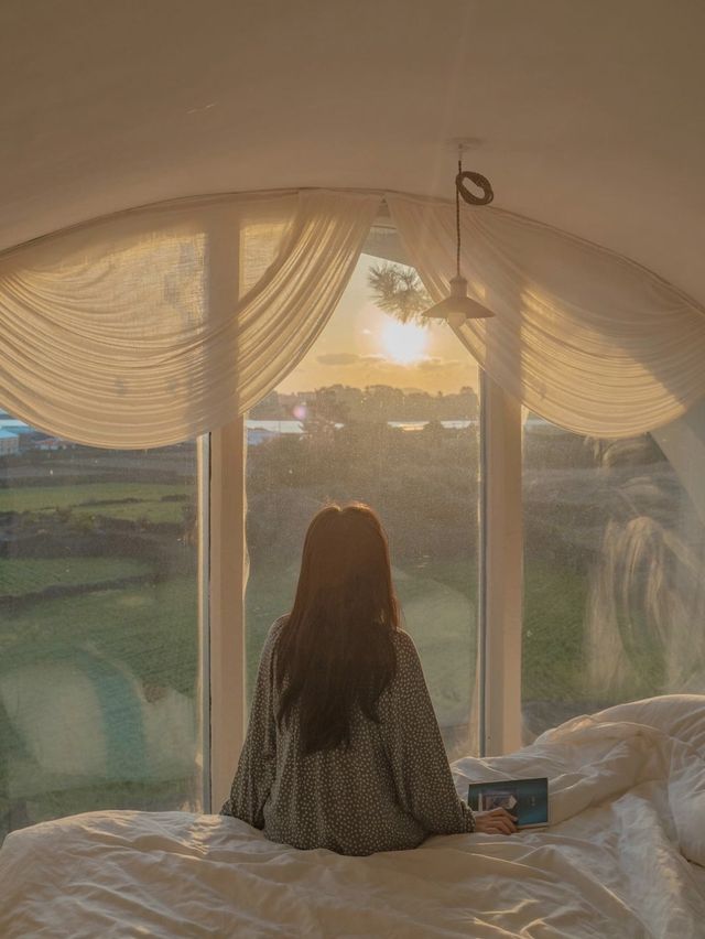 제주 여행의 쉼표, 하도기록🪴 