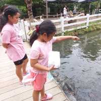 พาเที่ยวคาเฟ่บรรยากาศดี ร่มรื่น ที่ ดูบัวคาเฟ่