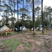Kirirom park in Cambodia