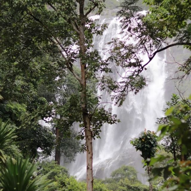 น้ำตกคลองลาน จังหวัดกำแพงเพชร🌲🌿🏕️