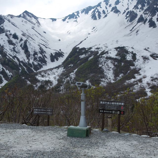 立山黑部 ｜ 黑部平大觀峰看雪山美景🏔️