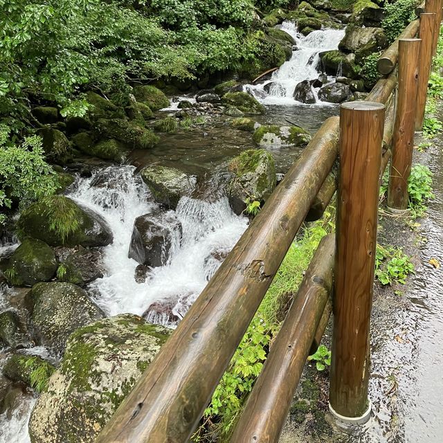 阿弥陀ヶ滝　流しそうめん